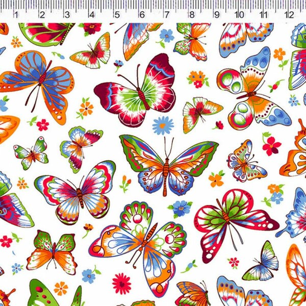 COLEÇÃO BUTTERFLY - BORBOLETAS AZUL - ( 79607 VAR,02 ) - C