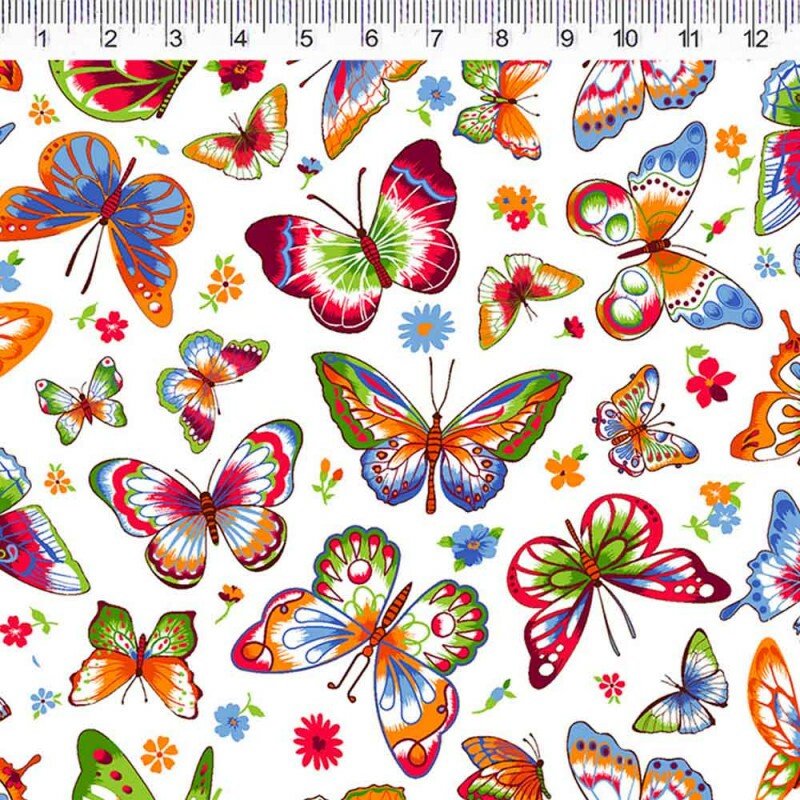 COLEÇÃO BUTTERFLY - BORBOLETAS AZUL - ( 79607 VAR,02 ) - C