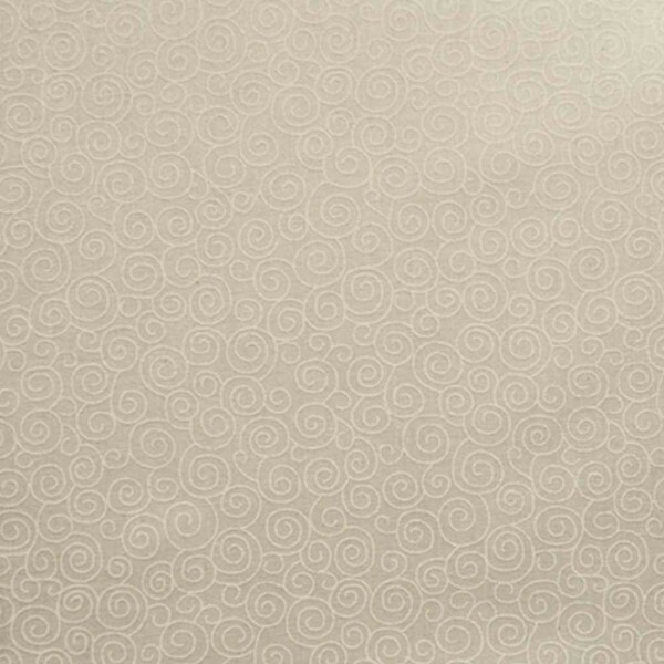 CARACOL TOM TOM FD CRU C/ BRANCO - IT