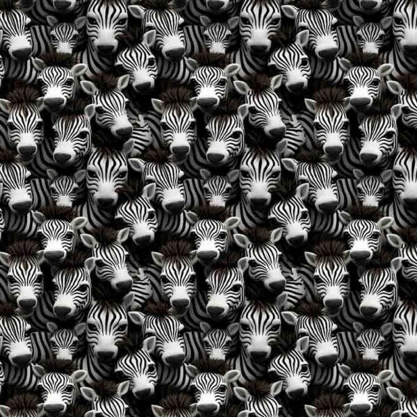 COLEÇÃO KRUGER - TRIC. EST. DIGITAL -  ZEBRA - 87090 - C