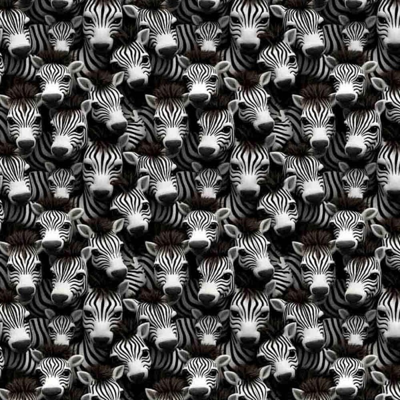 COLEÇÃO KRUGER - TRIC. EST. DIGITAL -  ZEBRA - 87090 - C