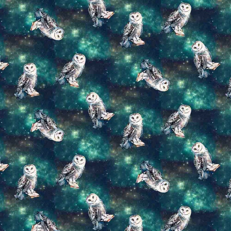 AG25 - TRICOLINE COLEÇÃO WIZARD- CORUJAS - 100% ALGODÃO - 00968/001