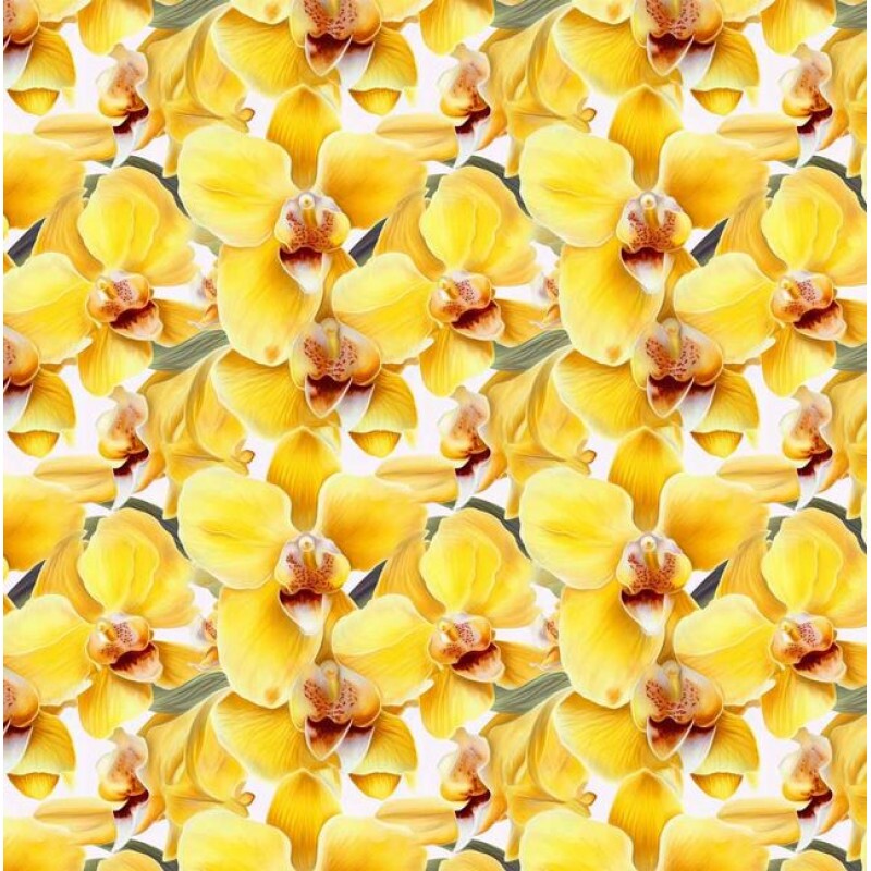 OT26 - TRICOL. COLEÇÃO ORCHIDS - ORQUIDEAS AMARELAS - 100% ALGODÃO A8852-001