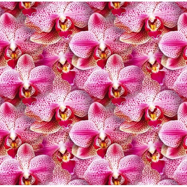 OT26 - TRICOL. COLEÇÃO ORCHIDS - ORQUIDEAS ROSAS - 100% ALGODÃO A8850-001