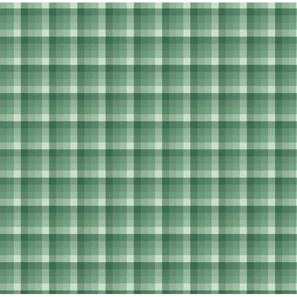 NV25 - TRICOL. COLEÇÃO XADREZES - XADREZ VERDE CANA - 100% ALGODÃO