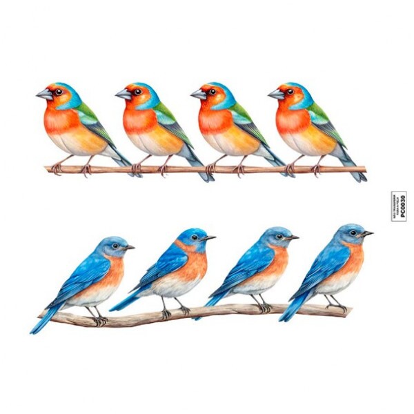 TRANSFER TEXTIL PASSE E CRIE - 4 PASSARINHOS