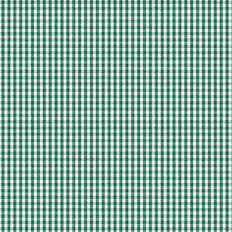 TRICOLINE FIO TINTO XADREZ VICHY 1XM - VERDE BANDEIRA