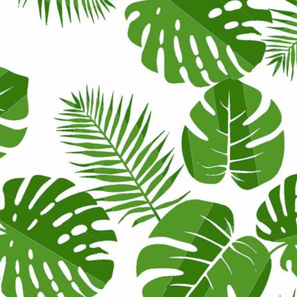 TRIC. NEW PREMIUM - COLEÇÃO ESSENTIALS - COSTELA DE ADÃO MEDIA  FD BRANCO