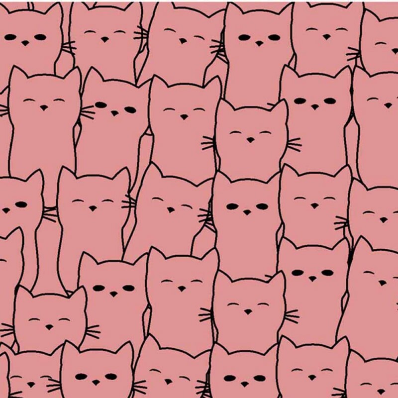 TRIC. NEW PREMIUM - COLEÇÃO ESSENTIALS - FD ROSE C/ CAT PRETO