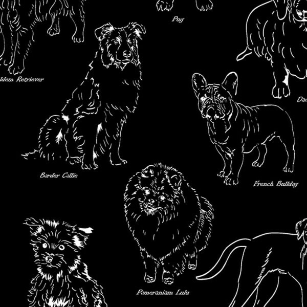 TRIC. NEW PREMIUM - COLEÇÃO ESSENTIALS - PET FD PRETO