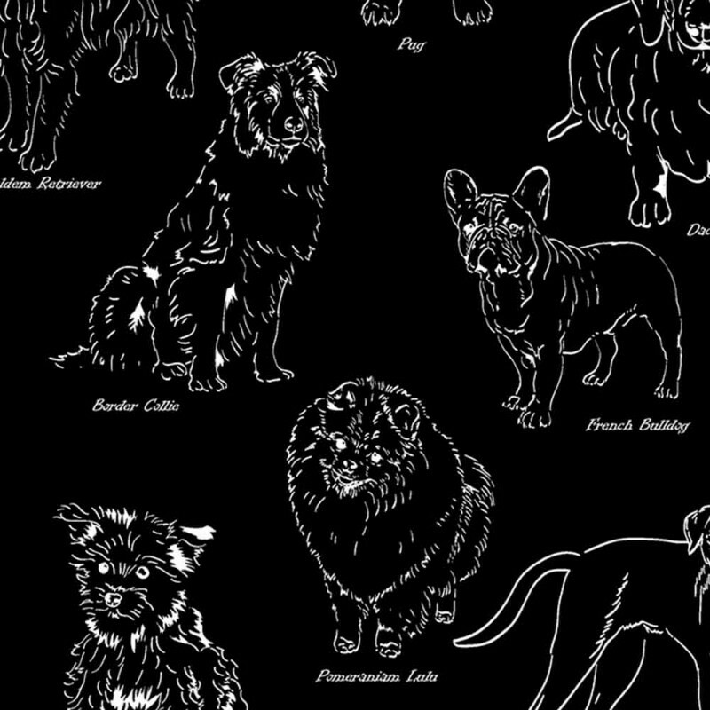 TRIC. NEW PREMIUM - COLEÇÃO ESSENTIALS - PET FD PRETO