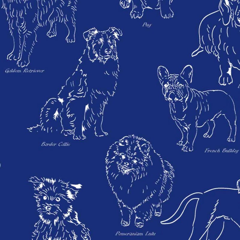 TRIC. NEW PREMIUM - COLEÇÃO ESSENTIALS - PET FD AZUL