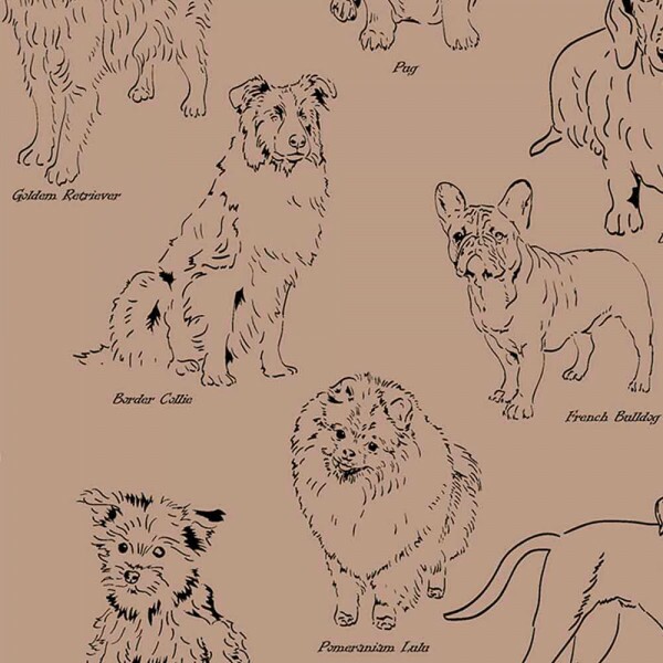 TRIC. NEW PREMIUM - COLEÇÃO ESSENTIALS - PET FD BEGE