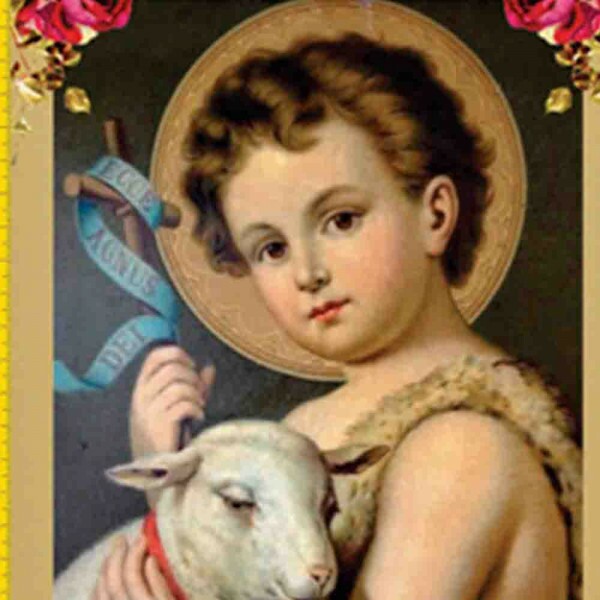 F.L 2020 - DIGITAL - PAINEL 1,48 X 50CM - BARRADO DE SANTOS - SÃO JOÃO - ( 9100-E138 ) - P