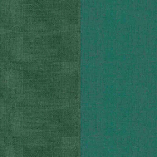 COLEÇÃO BASICS FOR ALL DIGITAL - FAIXAS DE TEXTURA - VERDE - ( 81785- VAR,08)