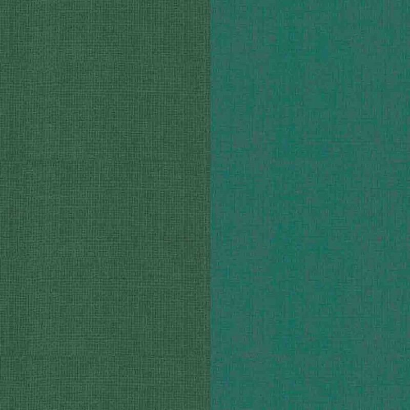 COLEÇÃO BASICS FOR ALL DIGITAL - FAIXAS DE TEXTURA - VERDE - ( 81785- VAR,08)