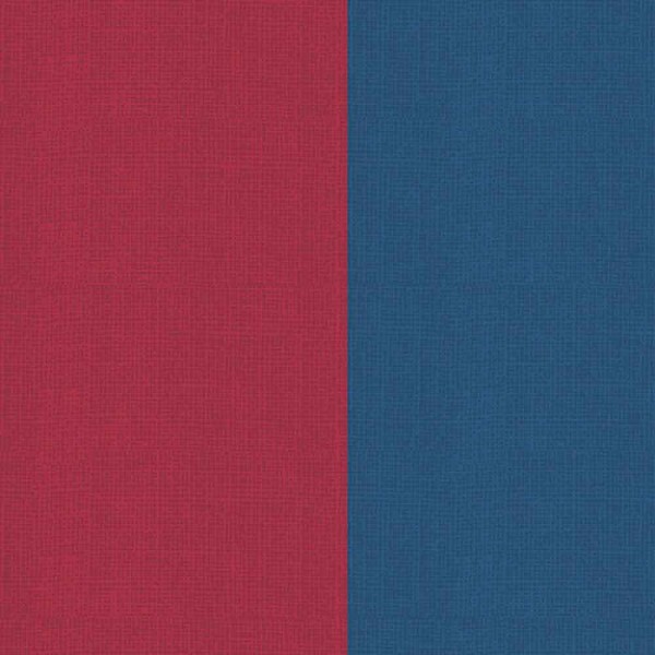 COLEÇÃO BASICS FOR ALL DIGITAL - FAIXAS DE TEXTURA - COLORIDOS- ( 81785 VAR,19 ) -  C