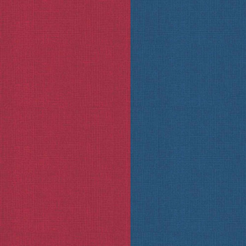 COLEÇÃO BASICS FOR ALL DIGITAL - FAIXAS DE TEXTURA - COLORIDOS- ( 81785 VAR,19 ) -  C