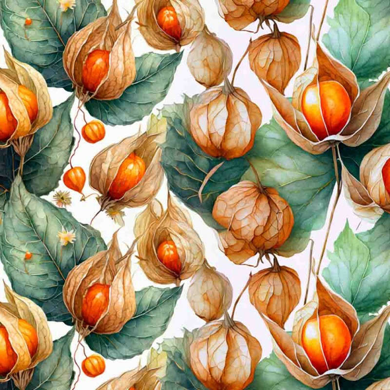 COLEÇÃO SALADA DE FRUTAS - TRIC. EST. DIGITAL - PHYSALIS - C