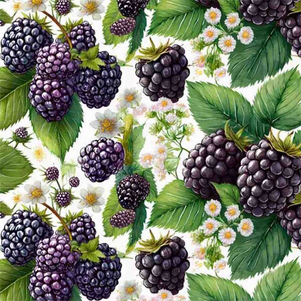 COLEÇÃO SALADA DE FRUTAS - TRIC. EST. DIGITAL - AMORA - 86906-01 - C