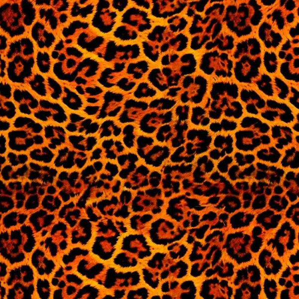 COLEÇÃO KRUGER - TRIC. EST. DIGITAL - PELE DE ONÇA - C