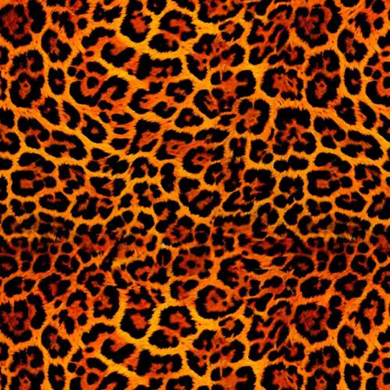 COLEÇÃO KRUGER - TRIC. EST. DIGITAL - PELE DE ONÇA - C