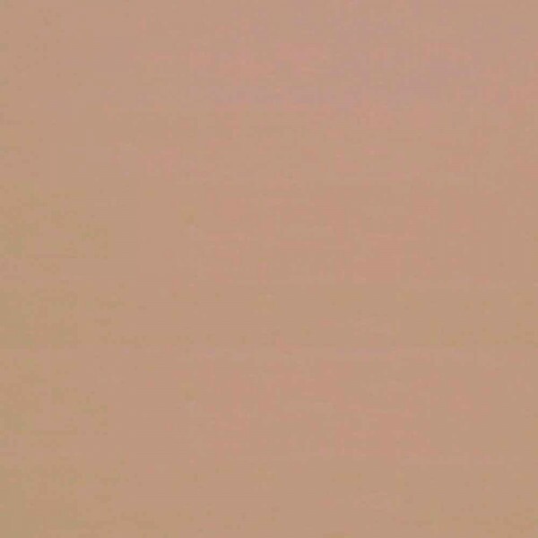 ALGODÃO TONS DE PELE - BEGE - ( 14-1118 - TPX )