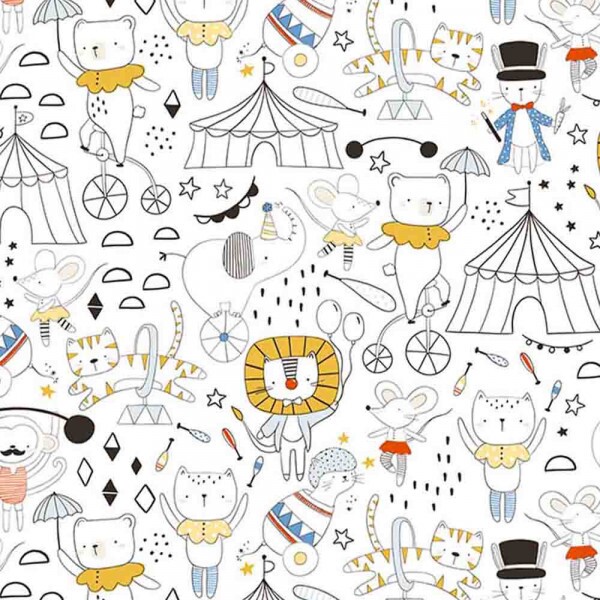 COLEÇÃO RESPEITAVEL PUBLICO - POR MARIANA CURTI ( 78737 VAR,01 ) - C