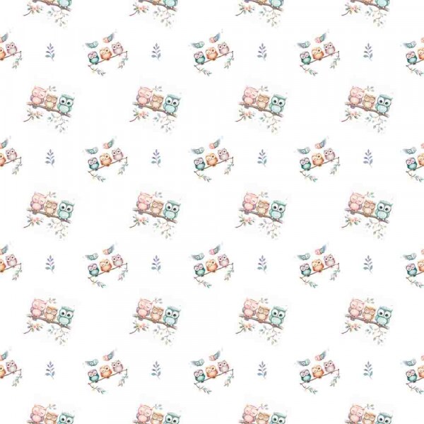 COLEÇÃO FLANELA EST. DIGITAL -  CORUJAS - ( 90756 VAR,01 ) - C