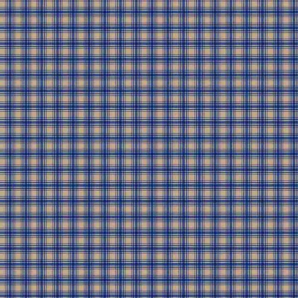 AB25 - FLANELA 100% ALGODÃO DIGITAL  -XADREZ COUNTRY 1 AZUL