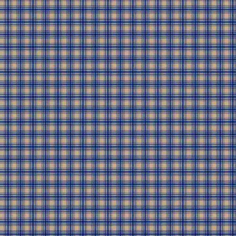 AB25 - FLANELA 100% ALGODÃO DIGITAL  -XADREZ COUNTRY 1 AZUL