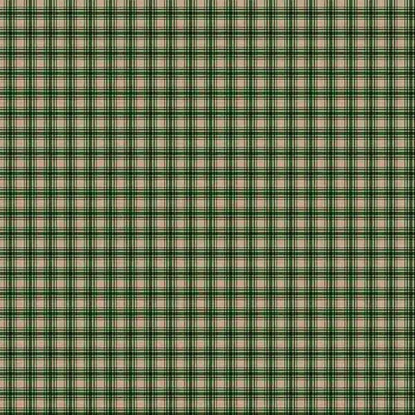 AB25 - FLANELA 100% ALGODÃO DIGITAL  -XADREZ COUNTRY 1 VERDE