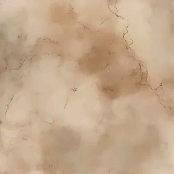 COLEÇÃO JOANA BORGA - COMPOSE - 93888/001