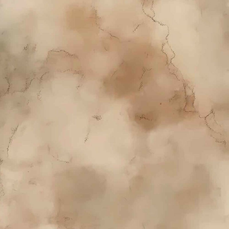 COLEÇÃO JOANA BORGA - COMPOSE - 93888/001