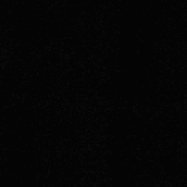 TRICOLINE LISO PRETO - ( 799 )