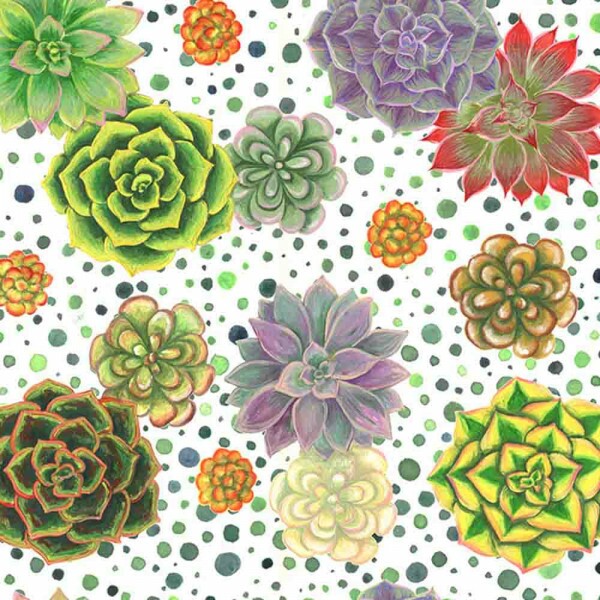 COLEÇÃO SUCULENTAS POR PAULA BARS - TRIC.EST. DIGITAL - SUCULENTA - ( 83104 VAR,01 ) - C