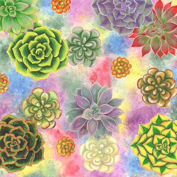 COLEÇÃO SUCULENTAS POR PAULA BARS - TRIC.EST. DIGITAL - SUCULENTA C/ FD COLORIDA - ( 83106 VAR,01 ) - C