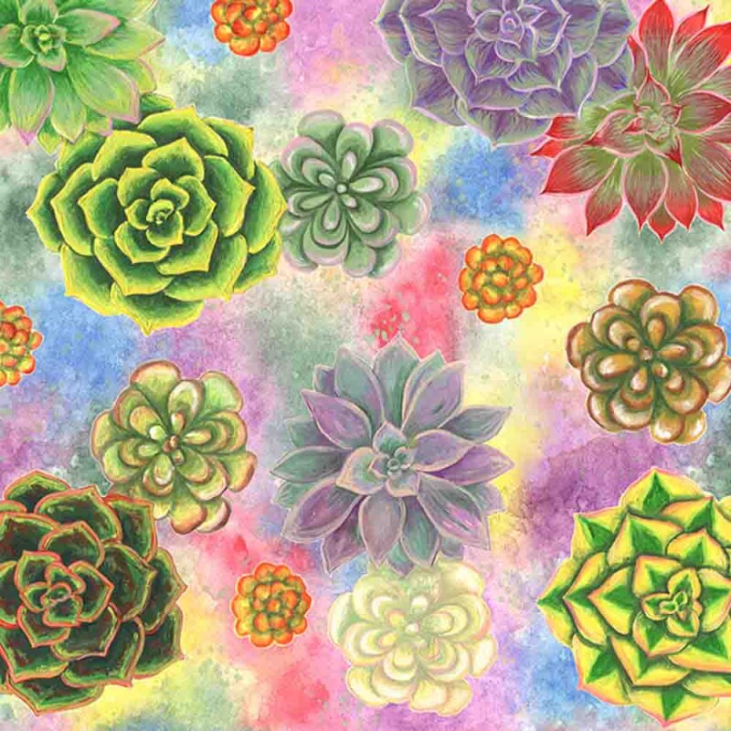 COLEÇÃO SUCULENTAS POR PAULA BARS - TRIC.EST. DIGITAL - SUCULENTA C/ FD COLORIDA - ( 83106 VAR,01 ) - C