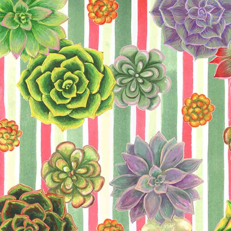 COLEÇÃO SUCULENTAS POR PAULA BARS - TRIC.EST. DIGITAL - SUCULENTA C/ LISTRAS - ( 83107 VAR,01 ) - C