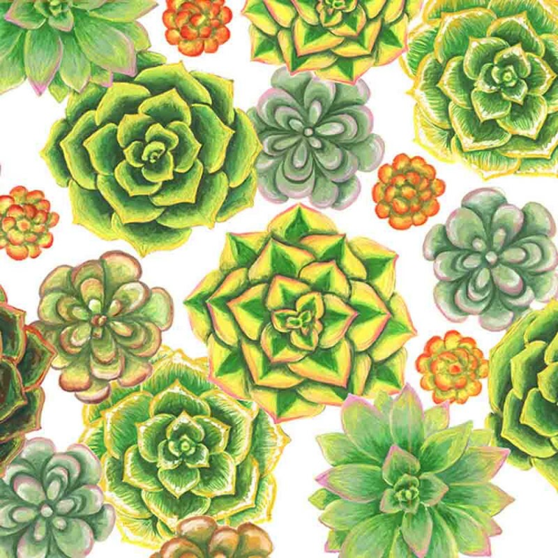 COLEÇÃO SUCULENTAS POR PAULA BARS - TRIC.EST. DIGITAL - SUCULENTA FD BRANCO - ( 83109 VAR,01 ) - C