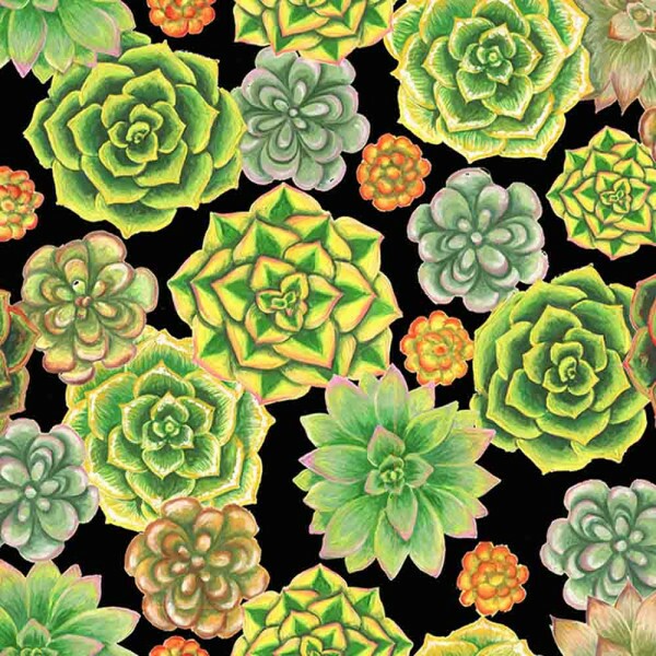 COLEÇÃO SUCULENTAS POR PAULA BARS - TRIC.EST. DIGITAL - SUCULENTA FD PRETO  - ( 83110 VAR,01 ) - C