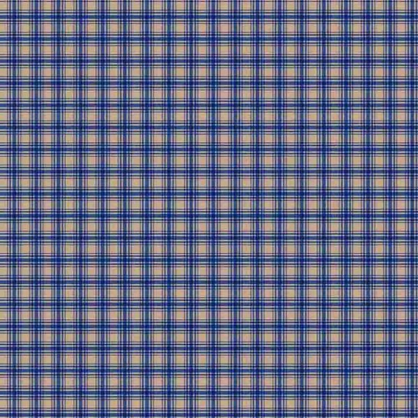 AB25 - TRICOLINE 100% ALGODÃO DIGITAL  -XADREZ COUNTRY 1 AZUL