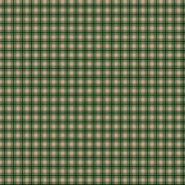 AB25 - TRICOLINE 100% ALGODÃO DIGITAL  -XADREZ COUNTRY 1 VERDE