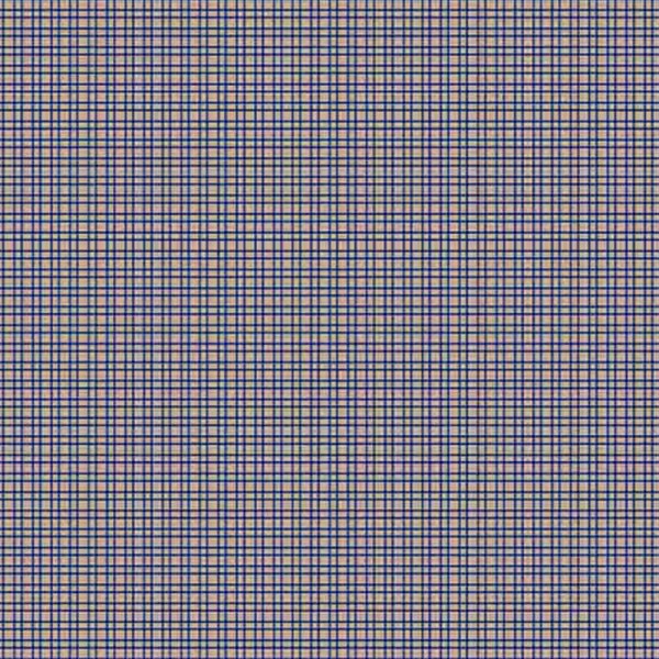 AB25 - FLANELA 100% ALGODÃO DIGITAL  -XADREZ COUNTRY 2 AZUL