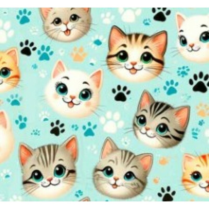 OT25 - TRICOL. COLEÇÃO CATS - CARINHA DE GATOS - 100% ALGODÃO 02229/001