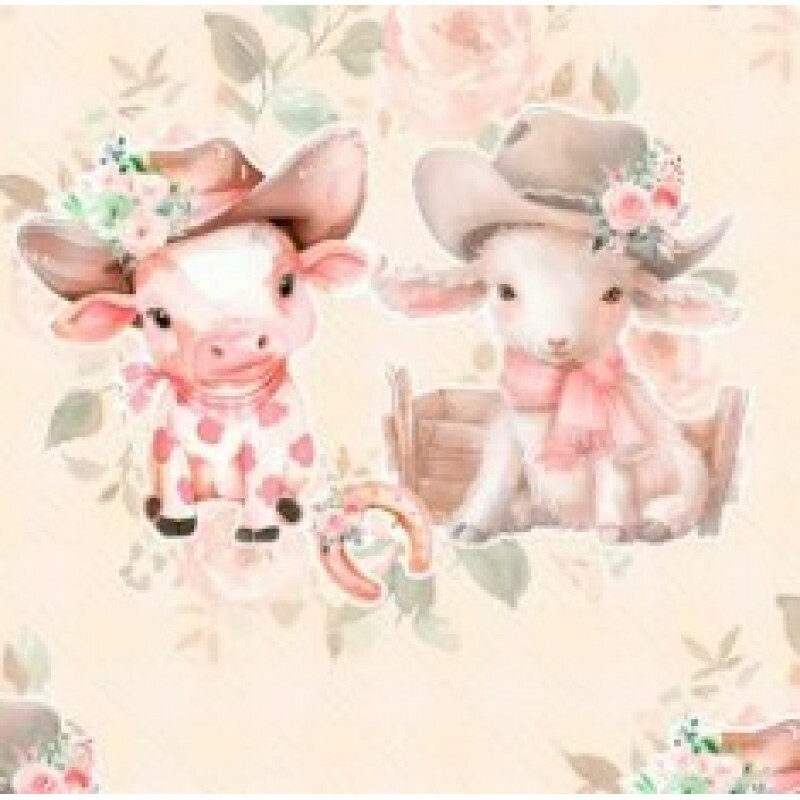 OT25 - TRICOL. COLEÇÃO COUNTRY INFANTIL - VAGUINHA FD ROSA - 100% ALGODÃO 03090/001