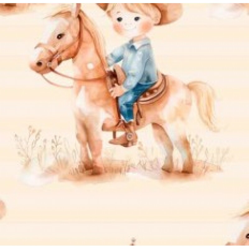 OT25 - TRICOL. COLEÇÃO COUNTRY INFANTIL - MENINO E CAVALO - 100% ALGODÃO 03071/001