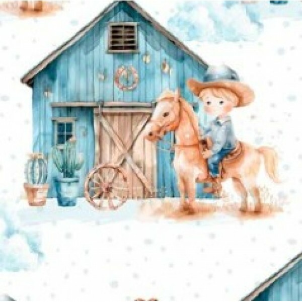 OT25 - TRICOL. COLEÇÃO COUNTRY INFANTIL - MENINO E CELEIRO - 100% ALGODÃO 03072/001