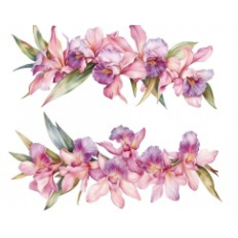 TRANSFER TEXTIL PASSE E CRIE - BARRADO DE ORQUÍDEAS